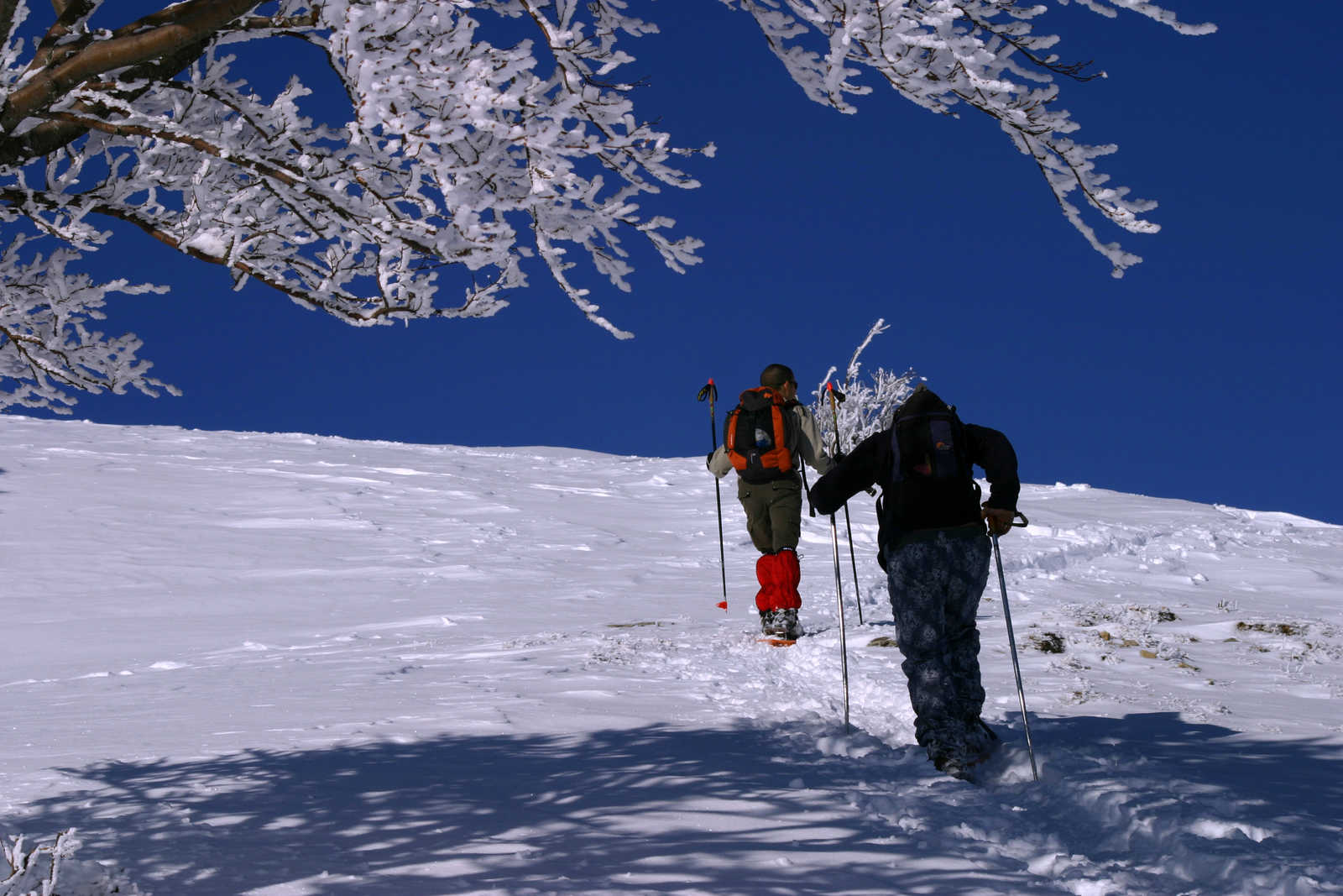 La grande traversée du Jura en raquettes Voyage Alpes Atalante