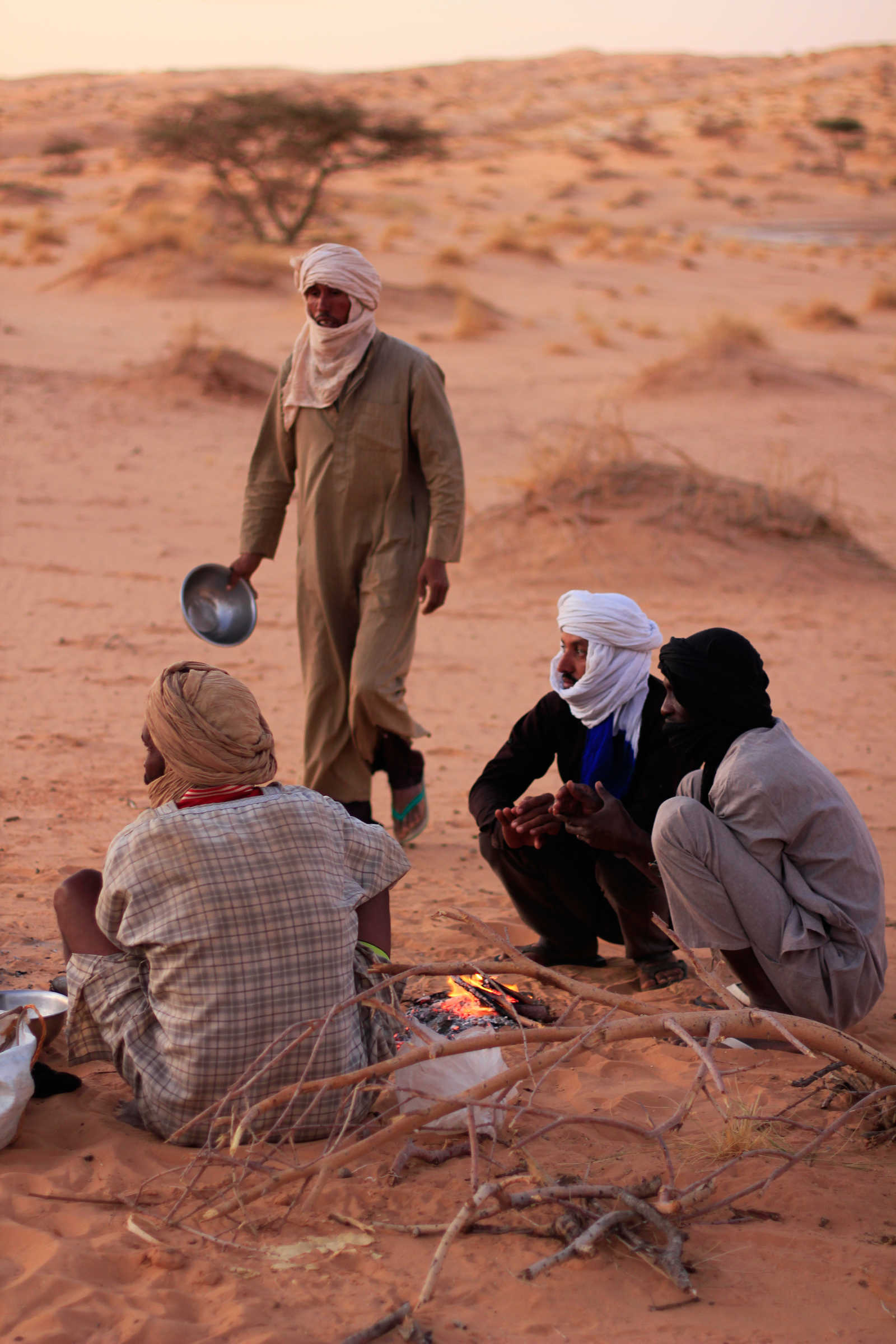 Trek Dans Les Oasis Luxuriantes De L Adrar Voyage Mauritanie Atalante