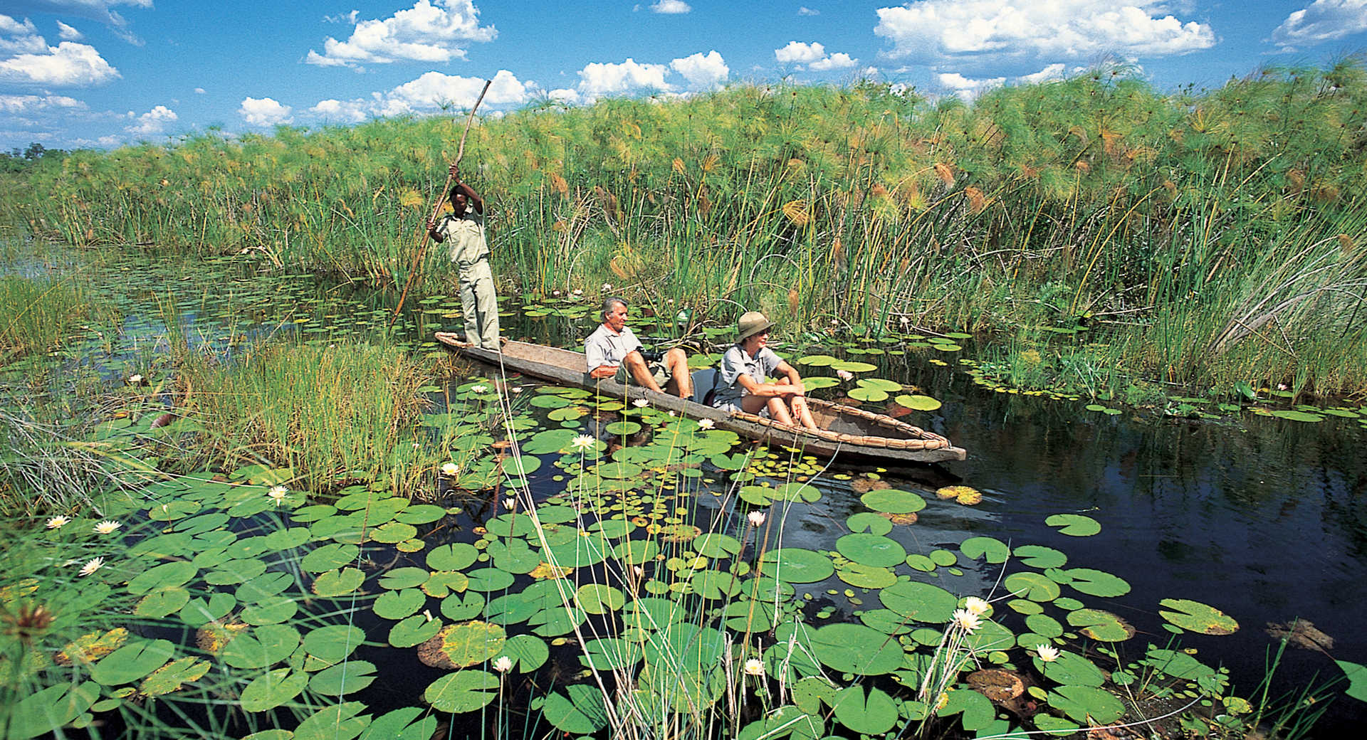 Safari Botswana : Pur safari au Botswana en version confort - Voyage Botswana Safari - Pur safari au Botswana en version confort - Voyage Botswana