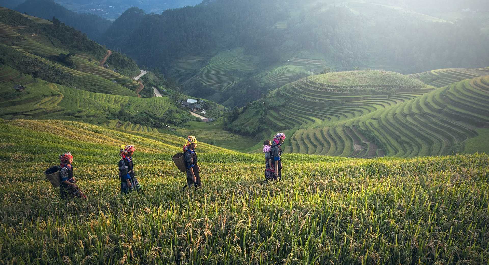 Des Montagnes Du Tonkin Au Delta Du M Kong Voyage Vietnam Huwans