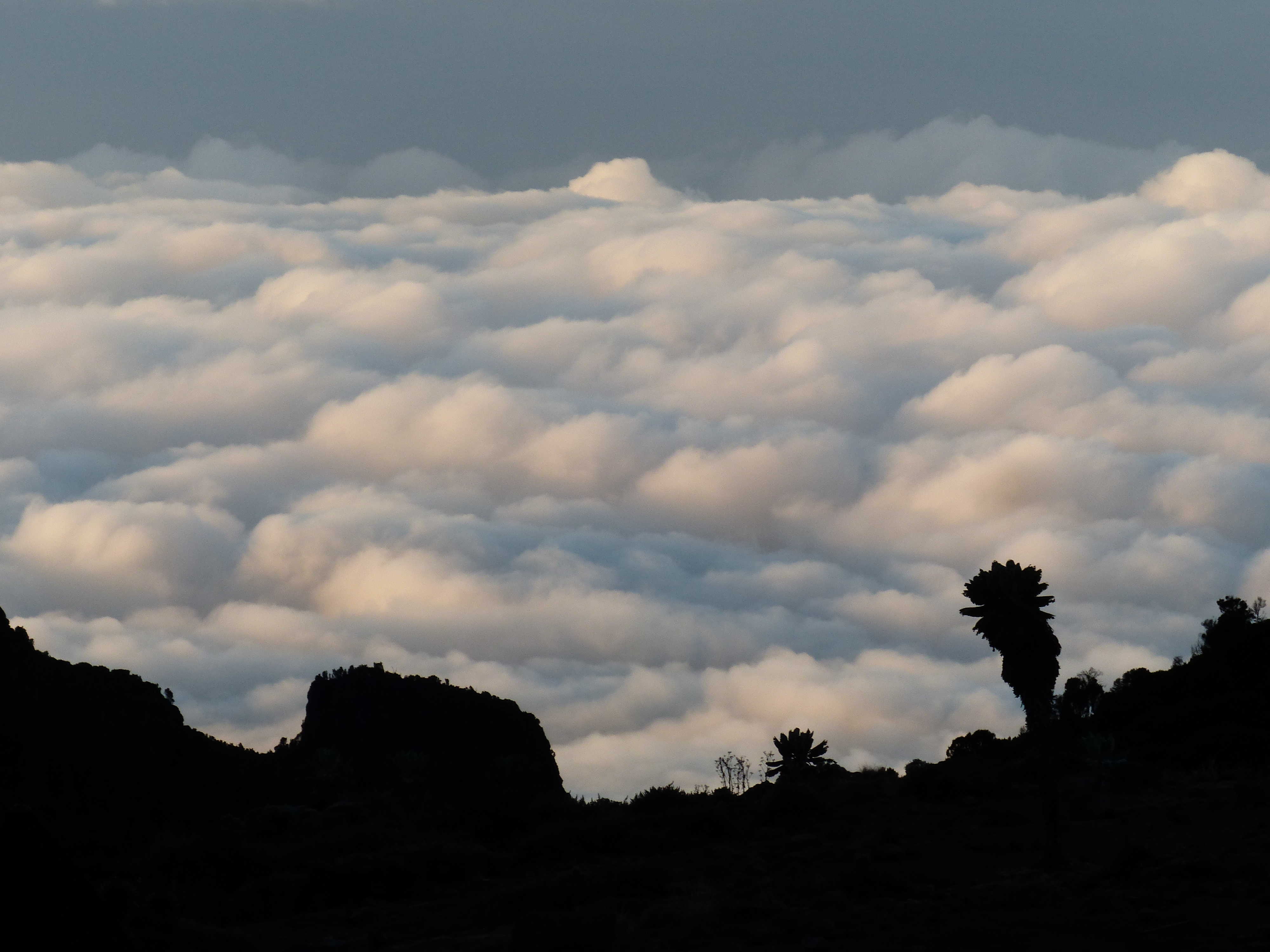 La mer de nuage depuis le superbe campement de Barranco au Kili