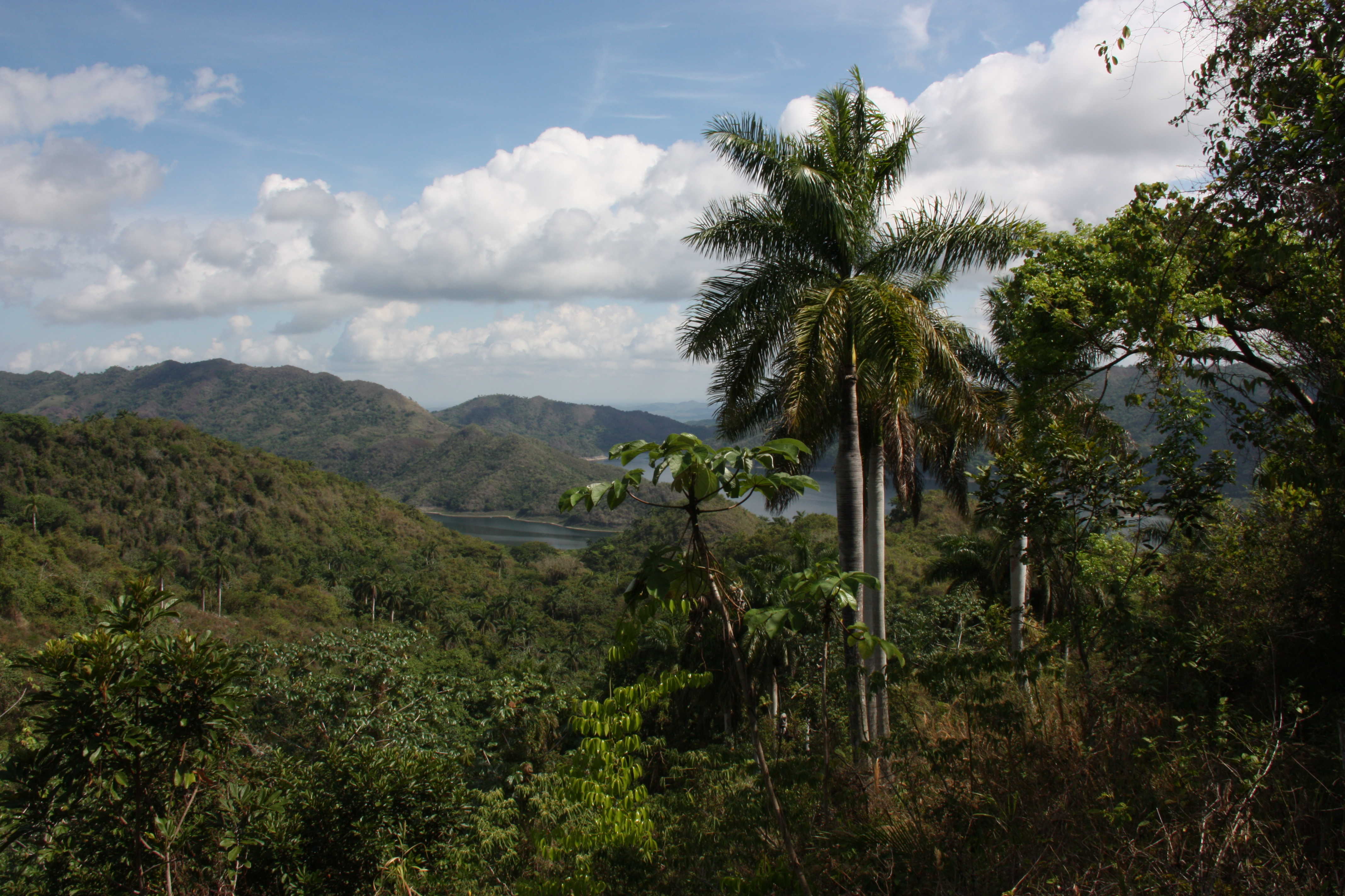 Panorama sur les hauteurs du lac Hanabanilla