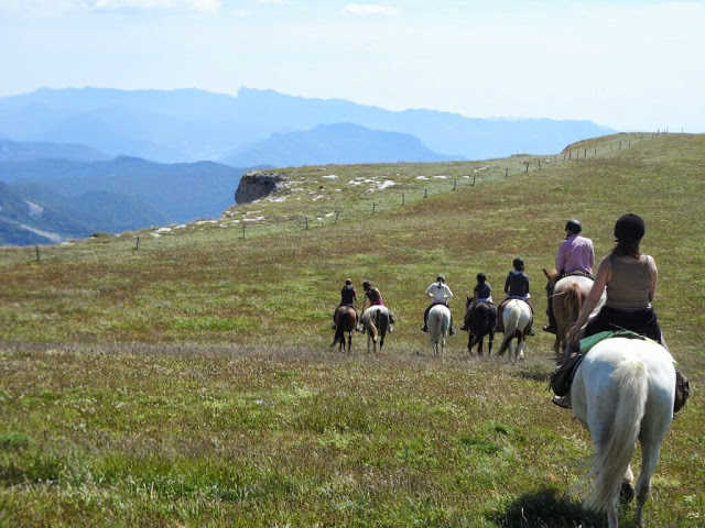 Randonnée à cheval sur les plateaux du Vercors