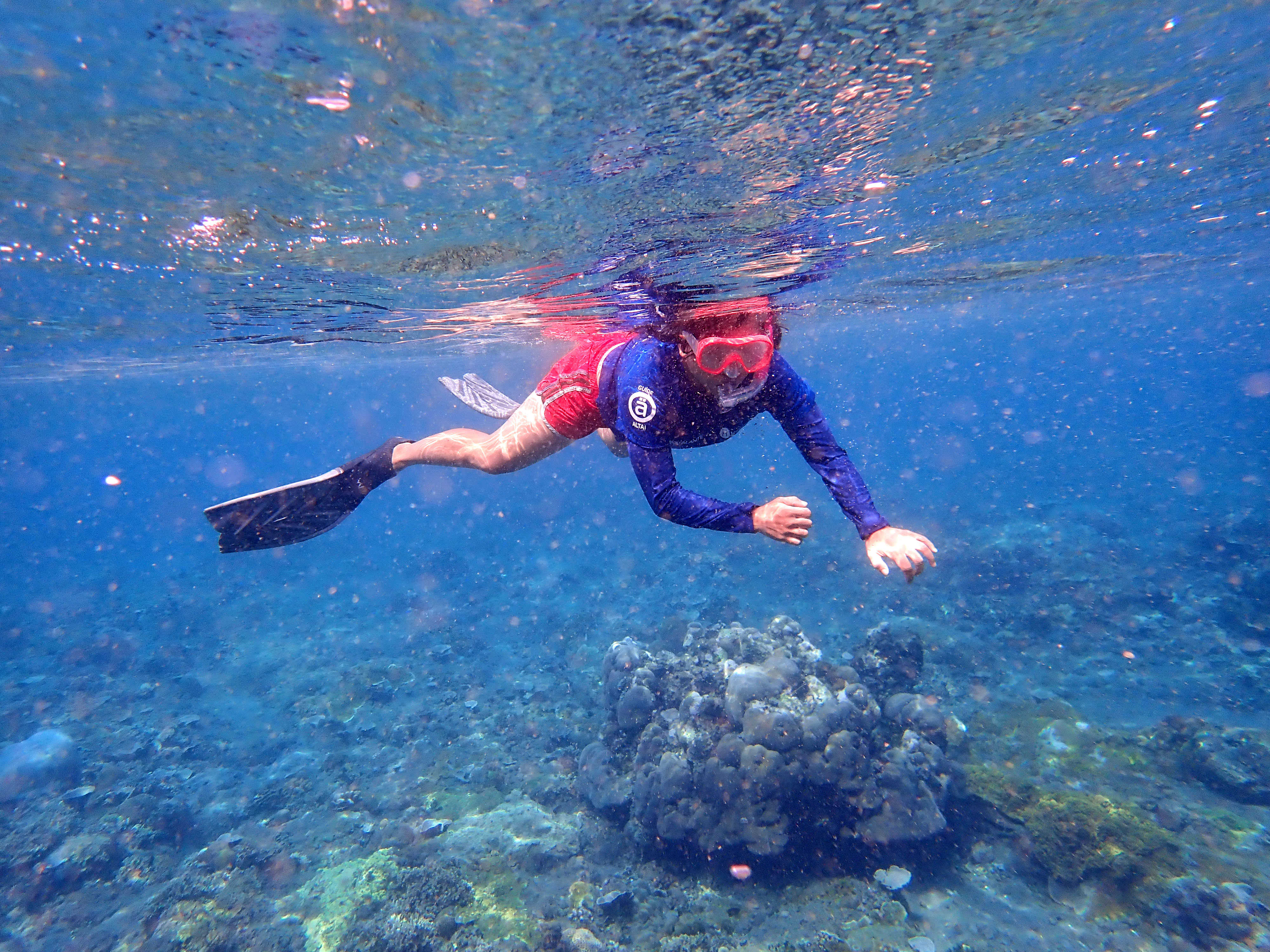 Snorkeling a Amed