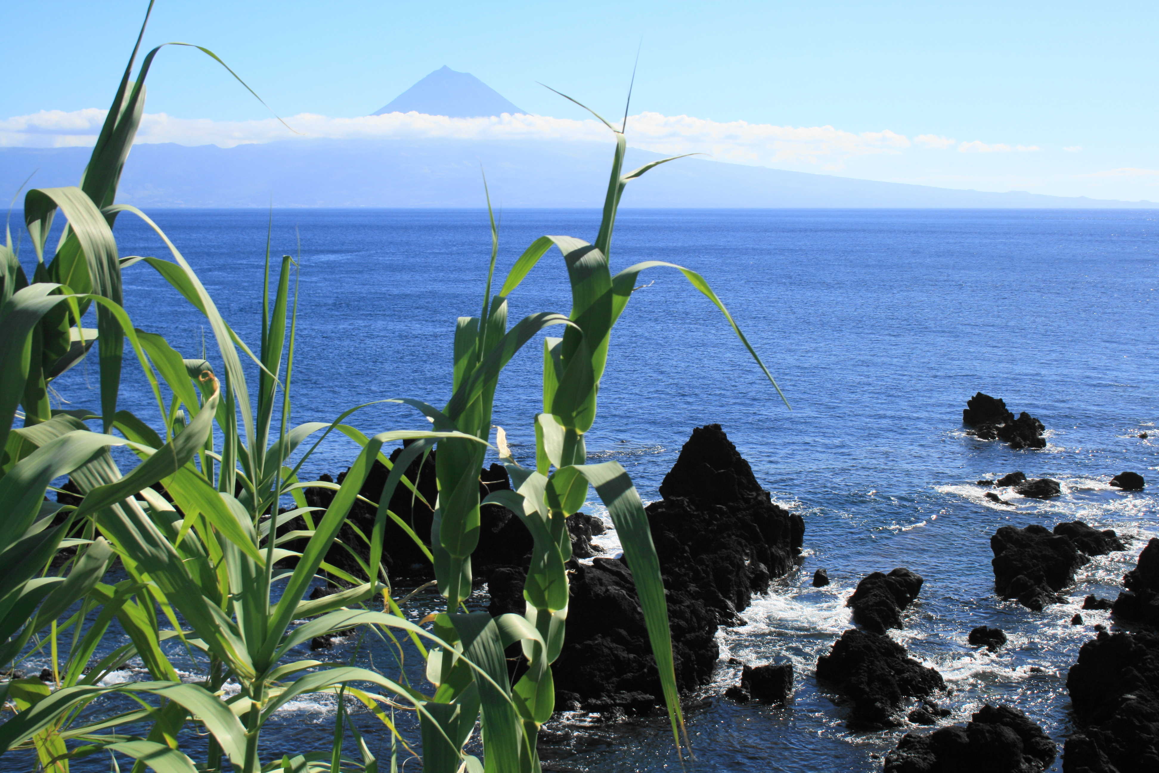 Volcan Pico aux Açores