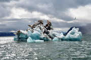 Iceberg au Svalbard - © Vanquathem Marie Diane Iceberg au Svalbard