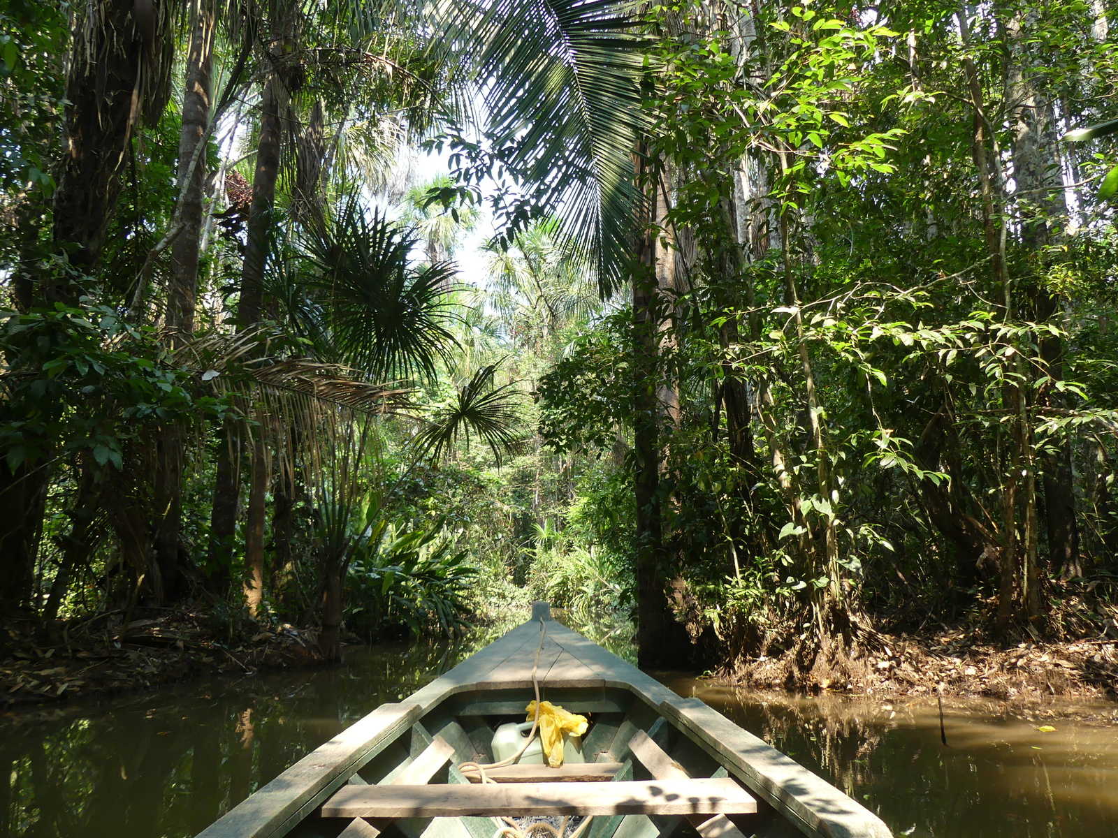 barque en Amazonie au Pérou