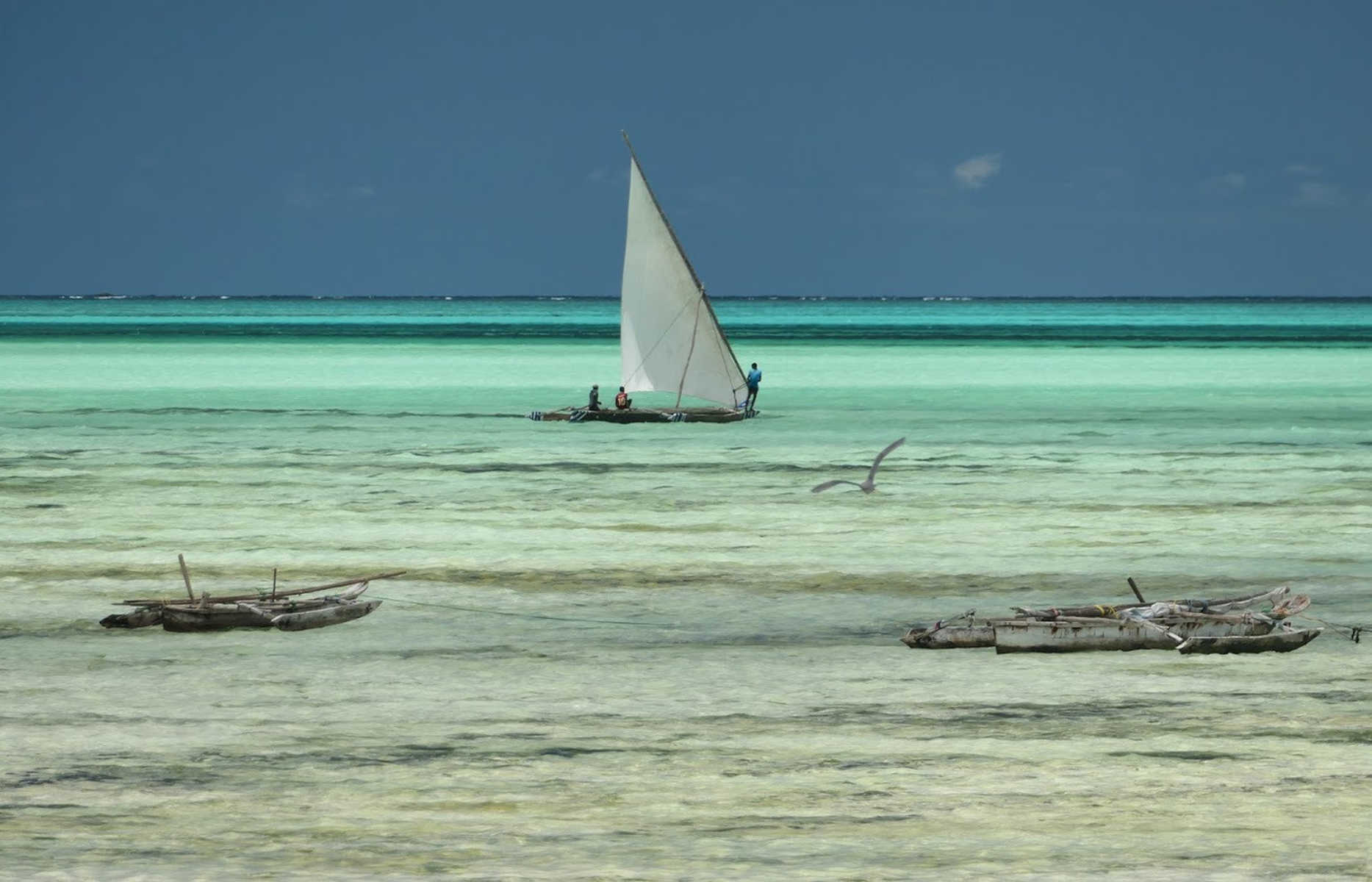 Boutres dans le lagon de la plage de Jambiani à Zanzibar