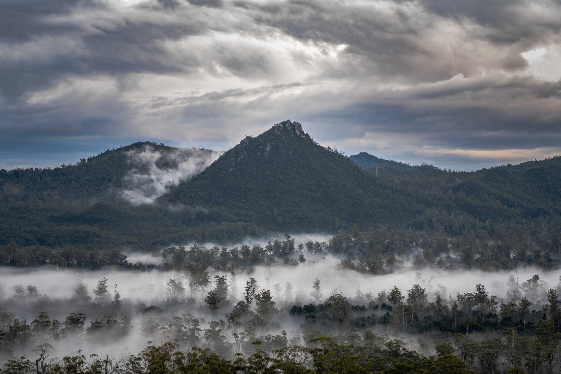 Brouillard matinal dans le parc national de Franklin-Gordon Wild Rivers, Tasmanie