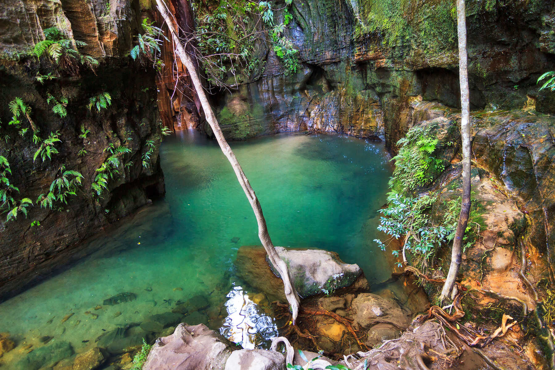 Canyon et piscine naturelle dans le parc national d'Isalo à Madagascar