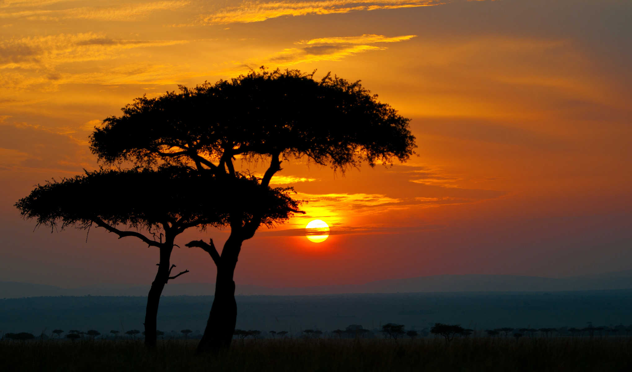 Coucher de soleil dans le masai Mara, Kenya