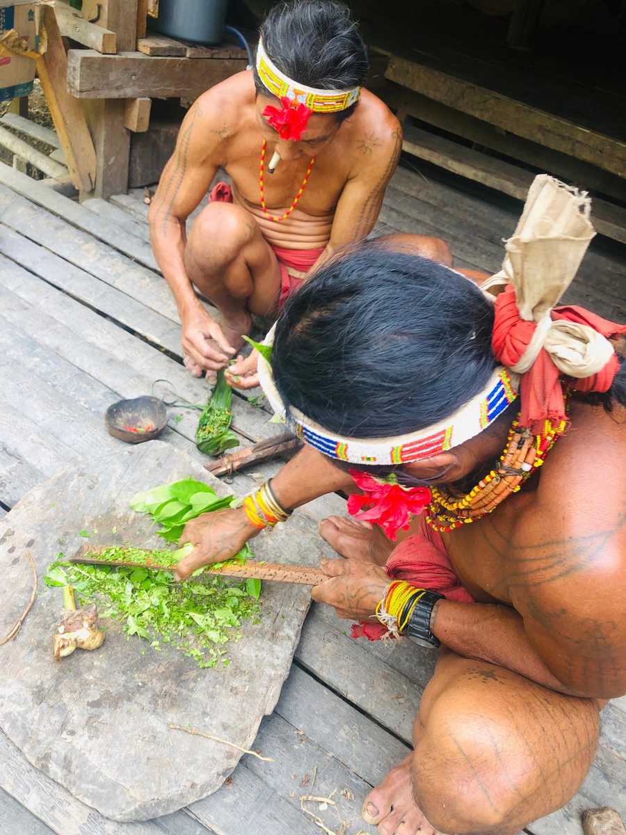 deux-hommes-fleurs-preparent-des-plantes