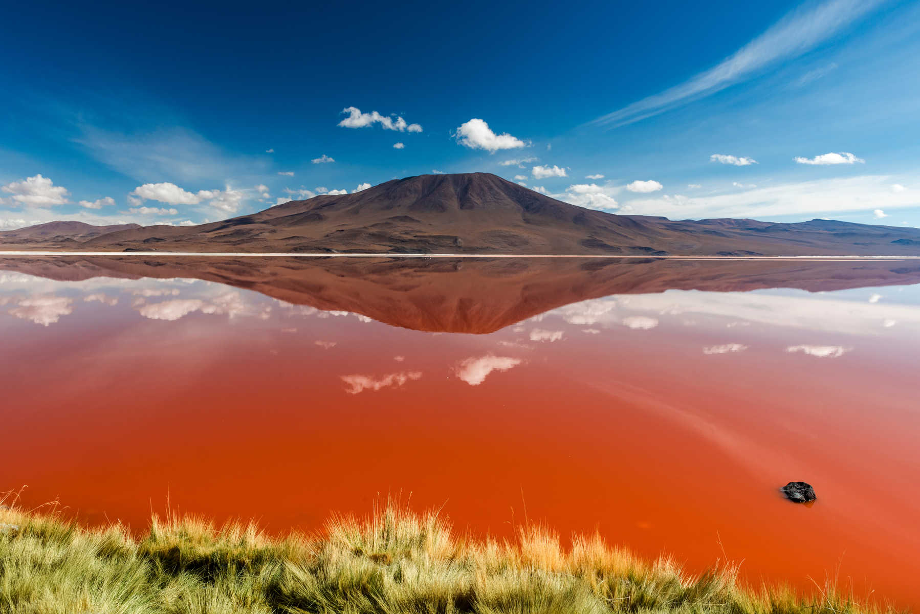 Effet miroir sur la Laguna Colorada, Sud Lipez, Bolivie