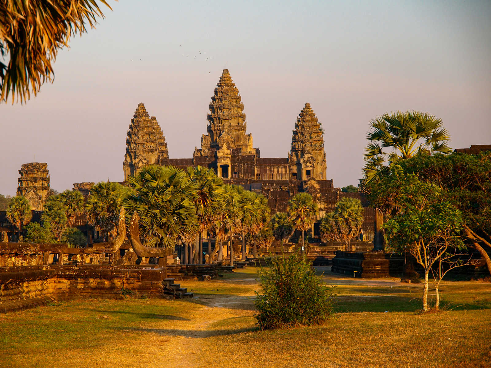 Entrée de l'ancien temple d'Angkor Wat, avec des palmiers à sucre au Cambodge