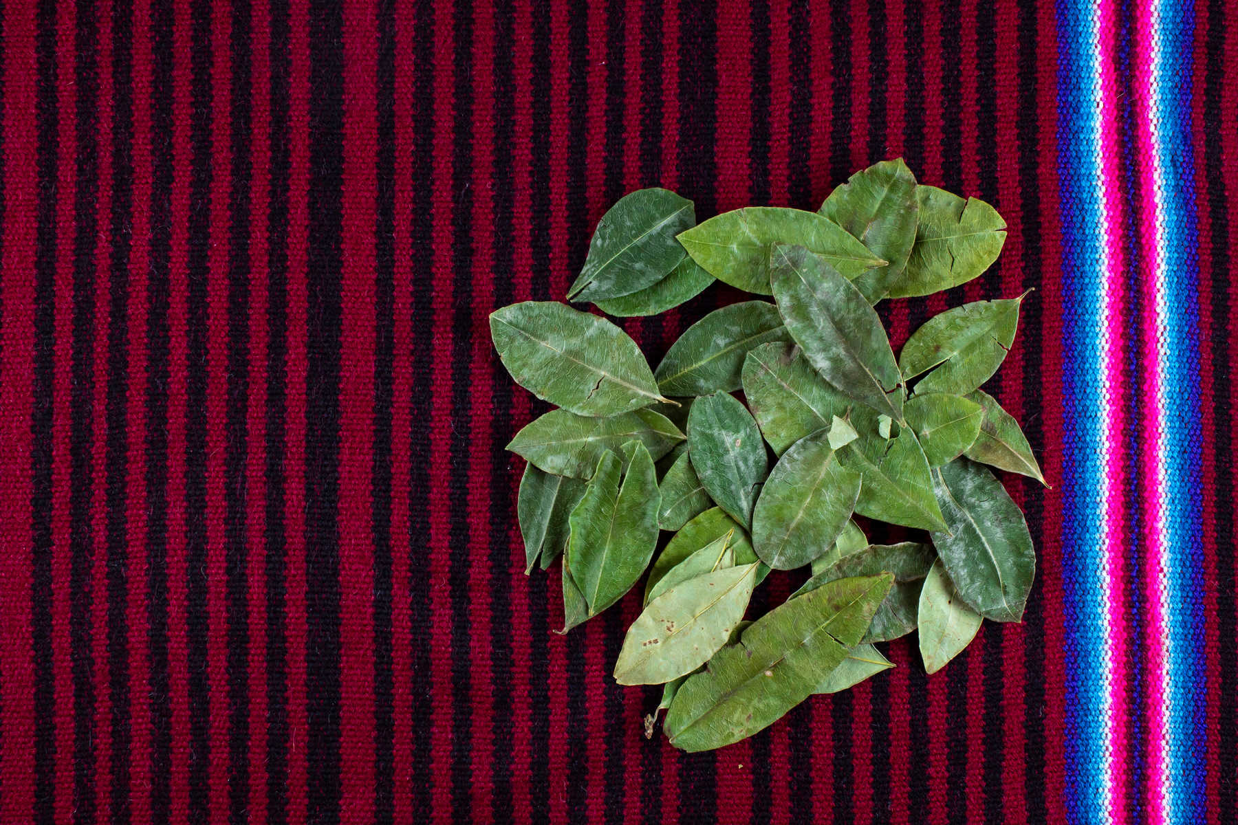 feuilles-de-coca-sur-tissu-colore-andin © Tom feuilles-de-coca-sur-tissu-colore-andin