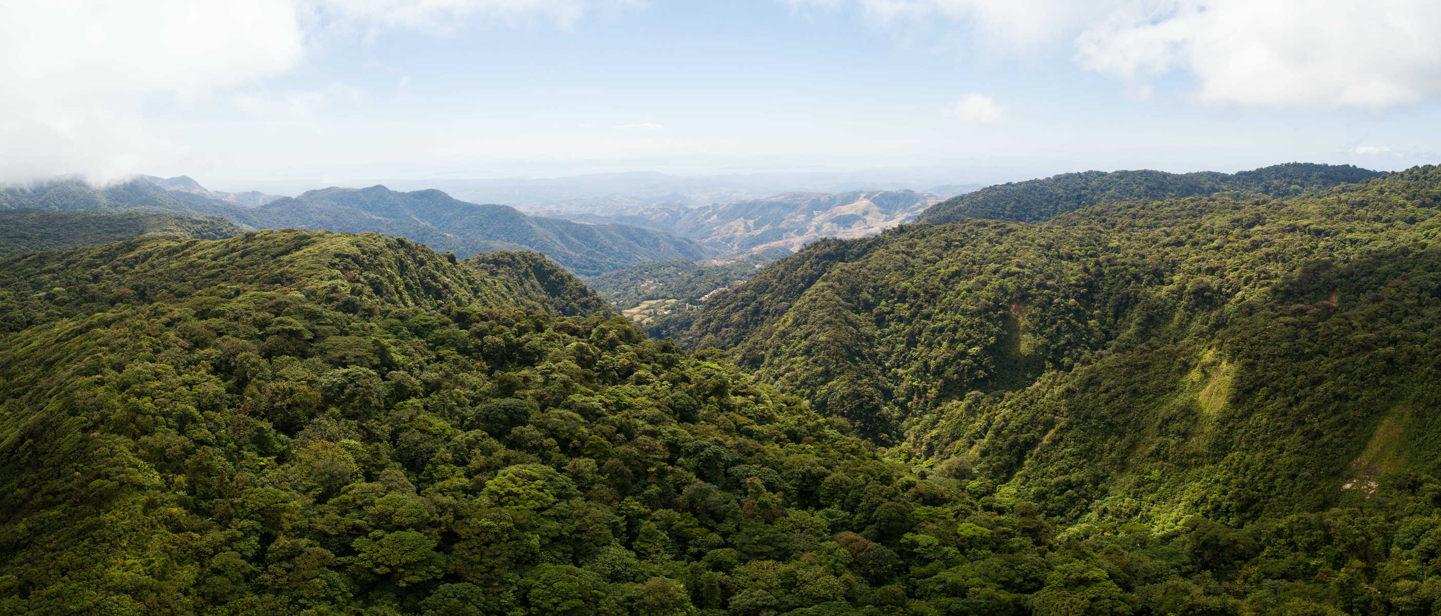 forêt de Monteverde au Costa Rica