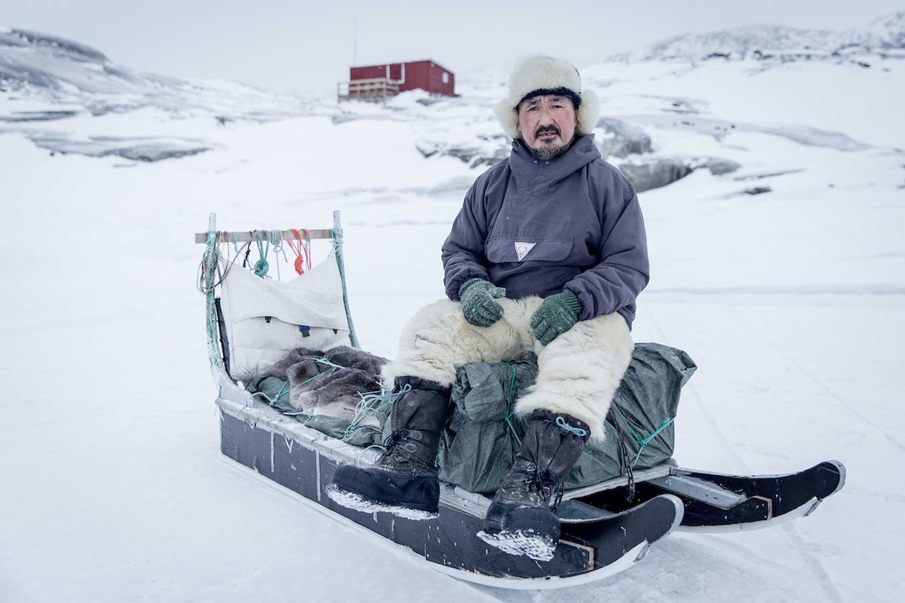 Inuit sur son traîneau à chiens au Groenland