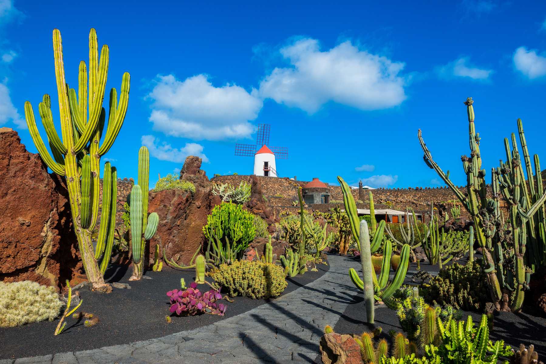 Lanzarote aux Canaries