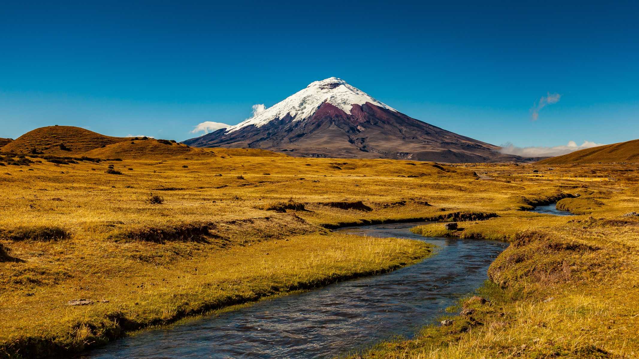 Le volcan Cotopaxi et le paramo en Équateur