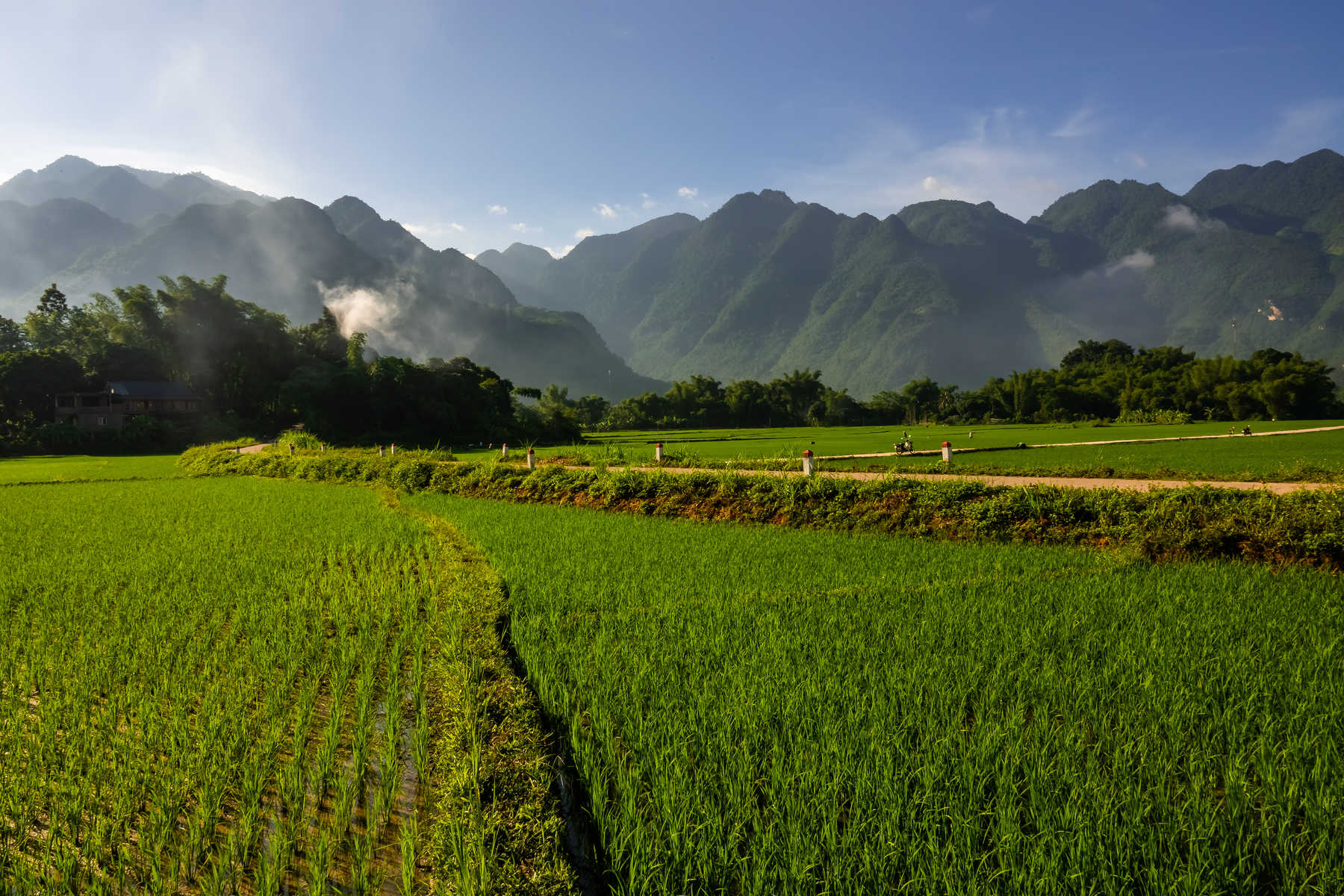 Les rizières de Mai Chau entouré des pitons karstiques au Vietnam © Les rizières de Mai Chau entouré des pitons karstiques au Vietnam