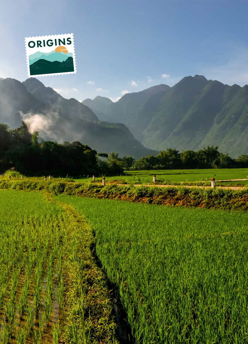Les rizières de Mai Chau entouré des pitons karstiques Origins