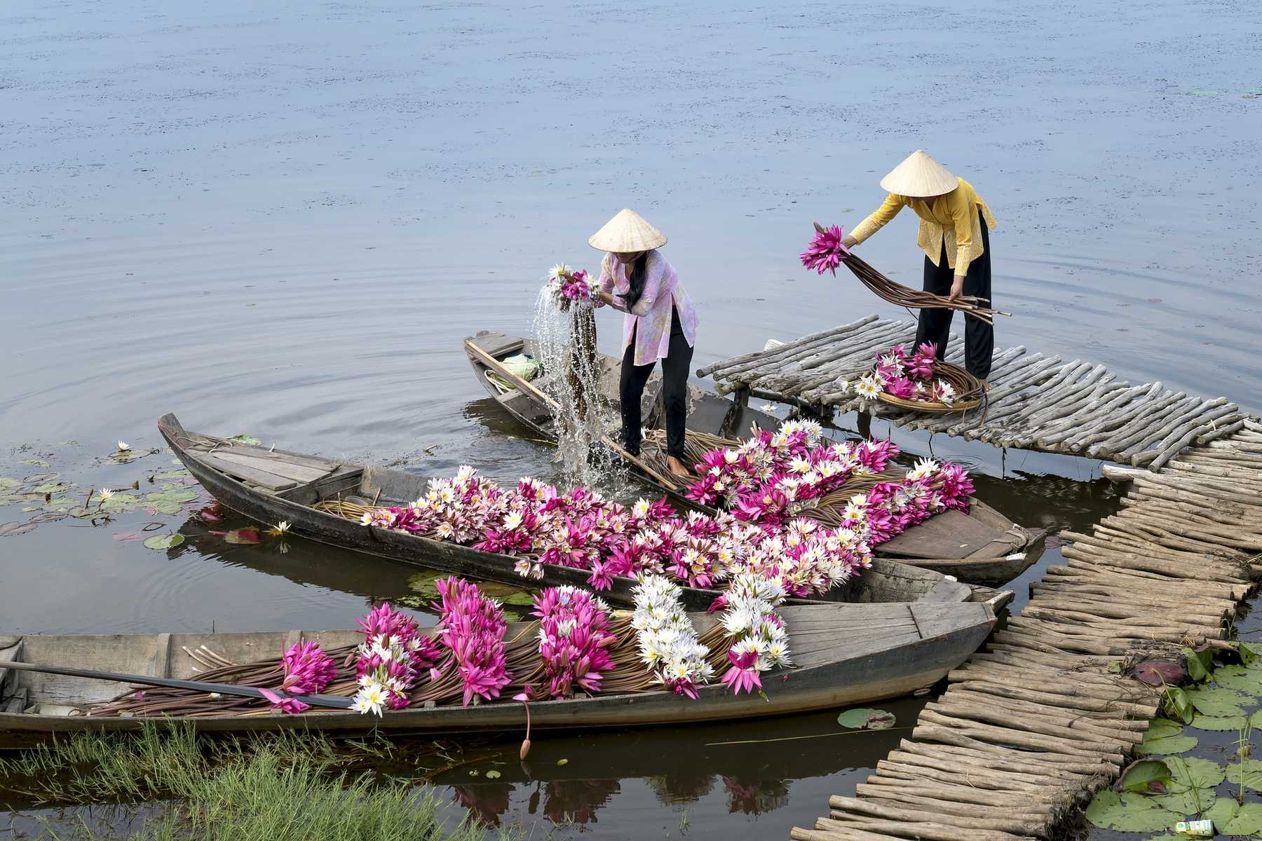 Marchand de fleurs sur un bateau au Vietnam
