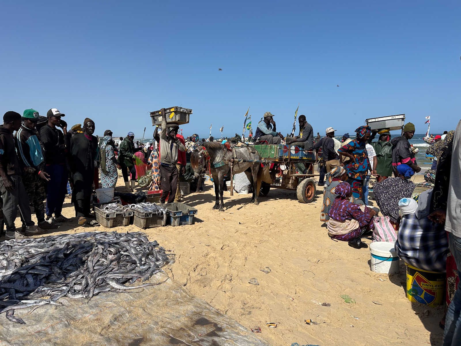 Marché aux poissons de Kayar au Sénégal