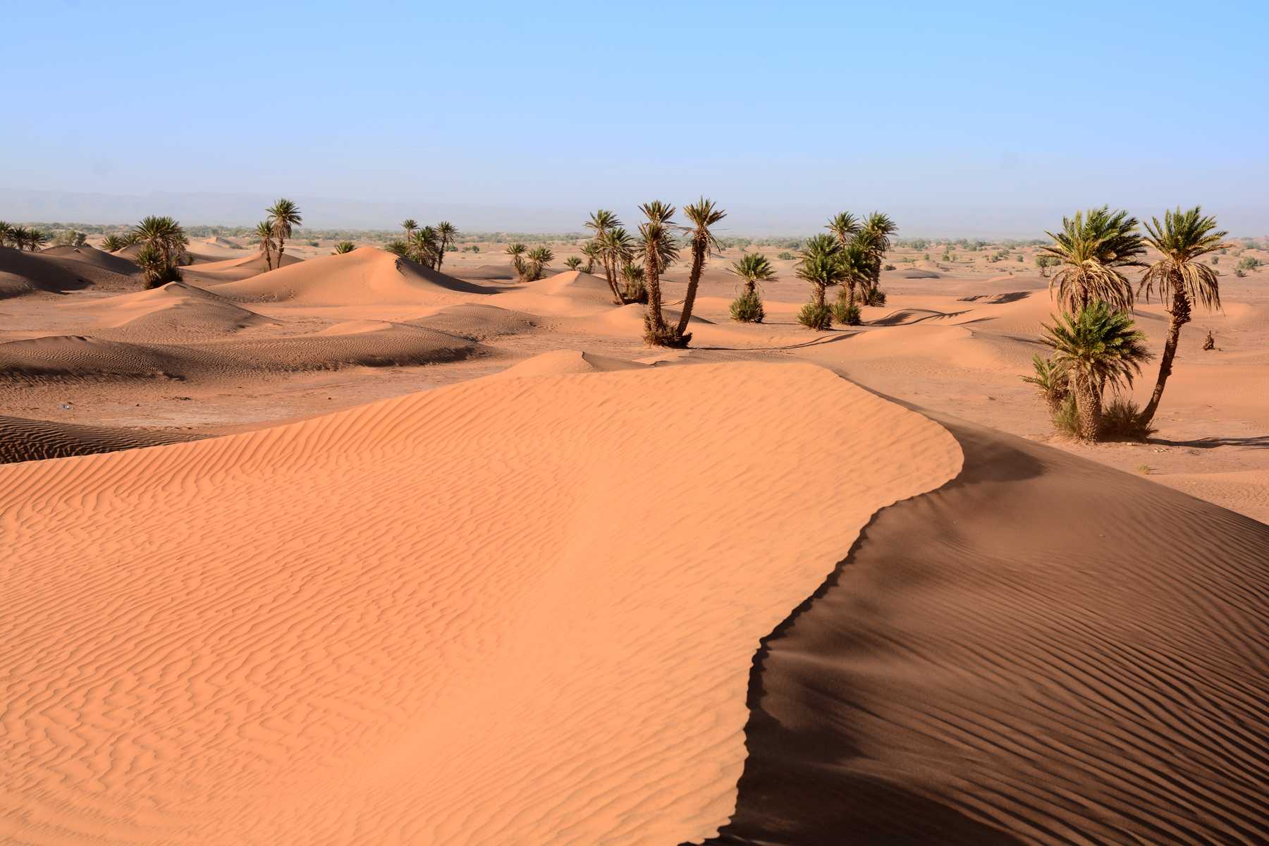 Oued Drâa près d'Ouled Driss, Maroc