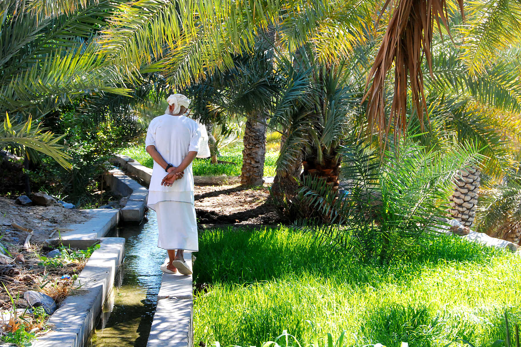 Palmeraie de Misfat, Oman
