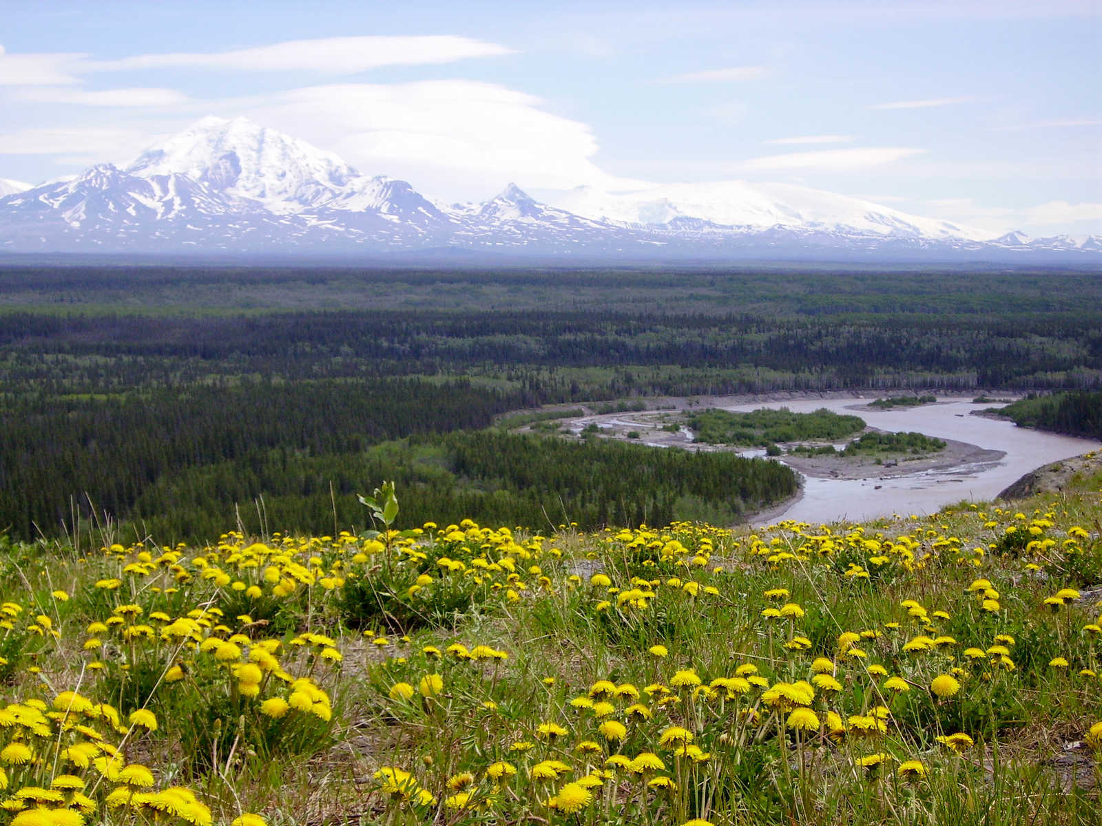 Paysage d'Alaska