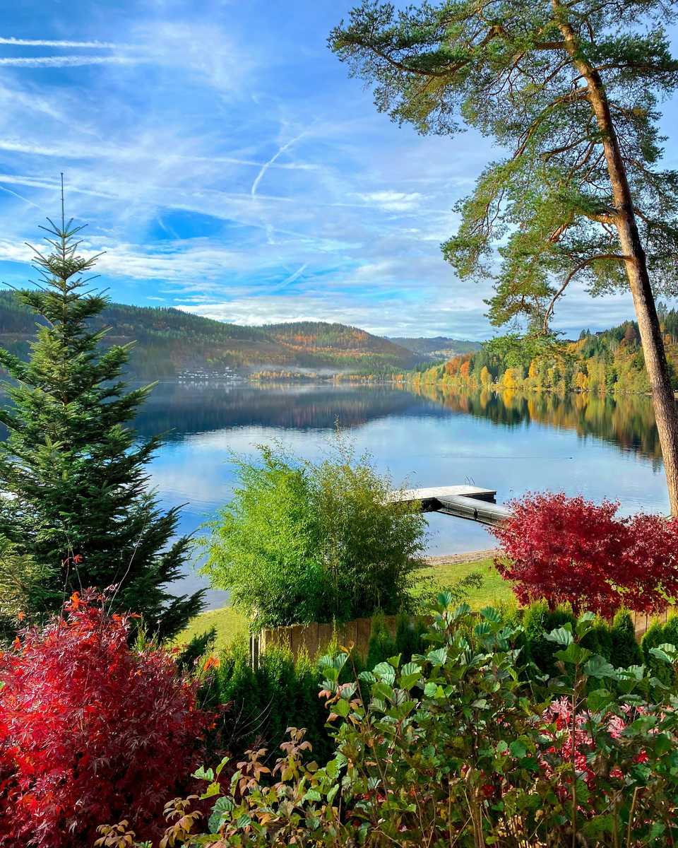 paysage-du-lac-titisee