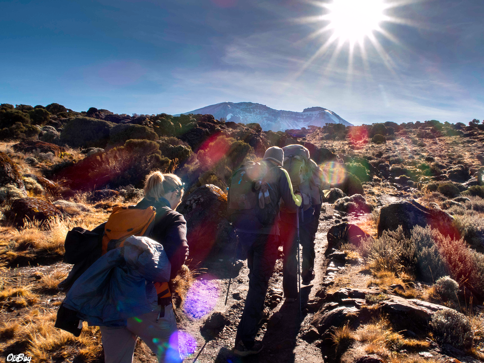 Petit groupe de randonneurs en train de marcher sur les laves des hauts plateaux de Shira en Tanzanie