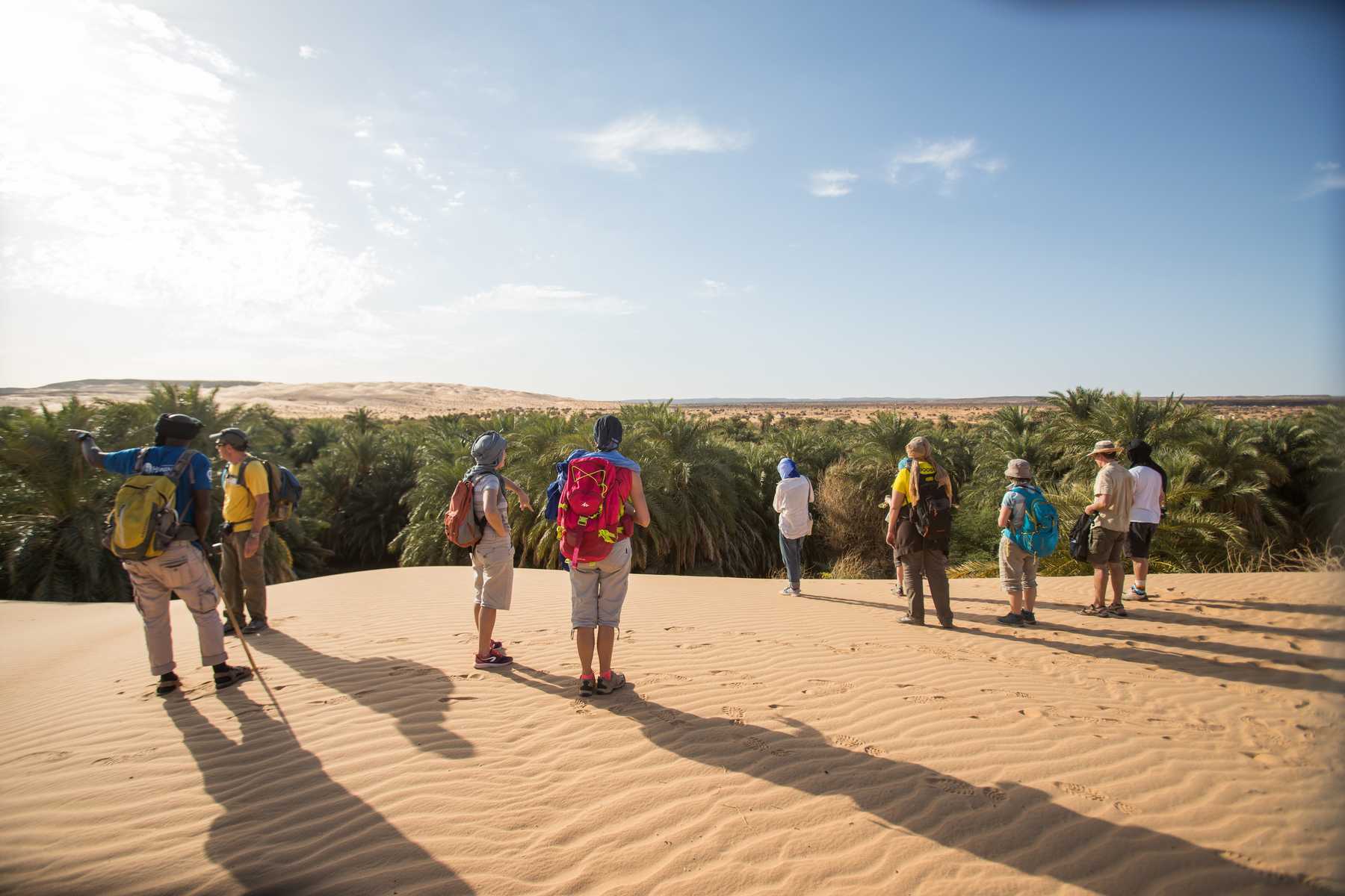 Petit groupe observant un oasis en Mauritanie