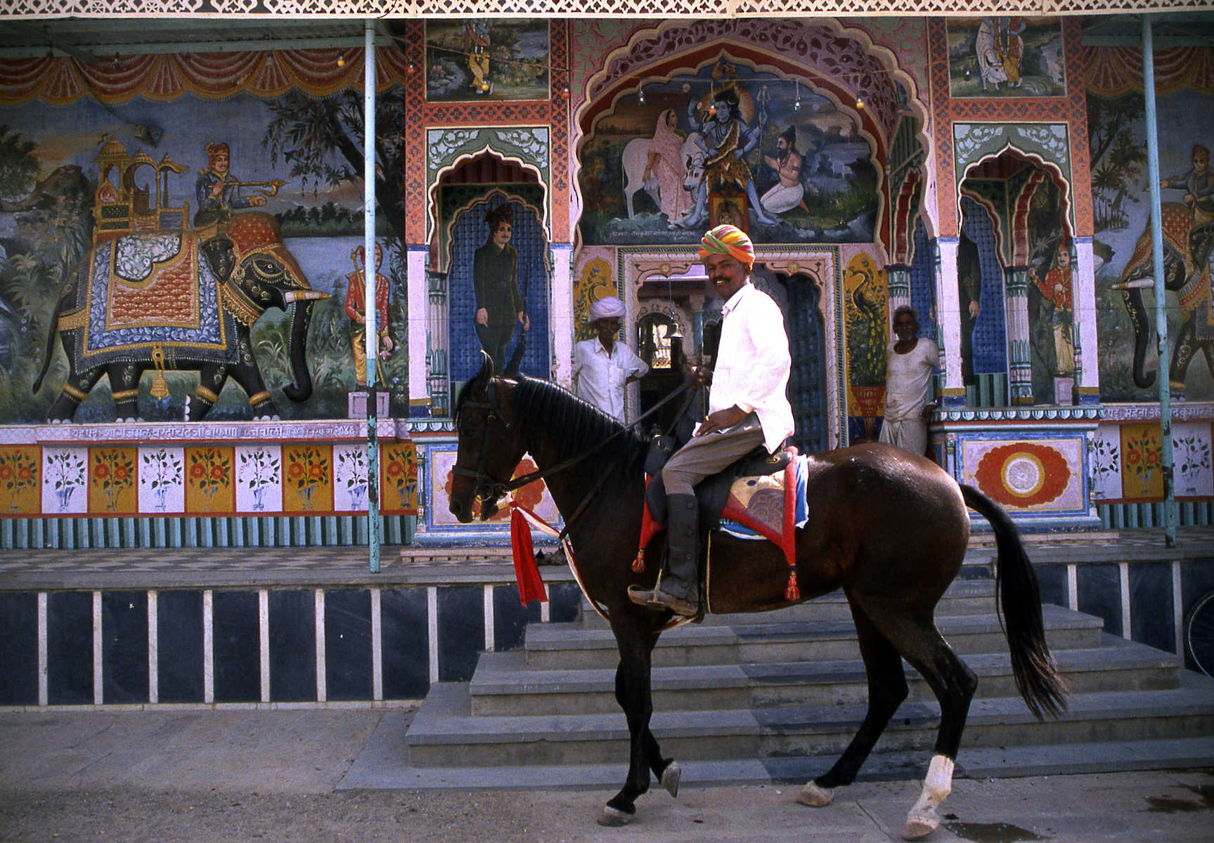 Rajasthan, cavalier indien sur cheval marwari