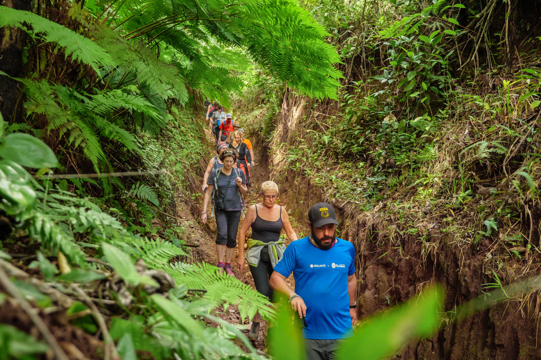Randonnée dans la foret tropicale © Randonnée dans la foret tropicale