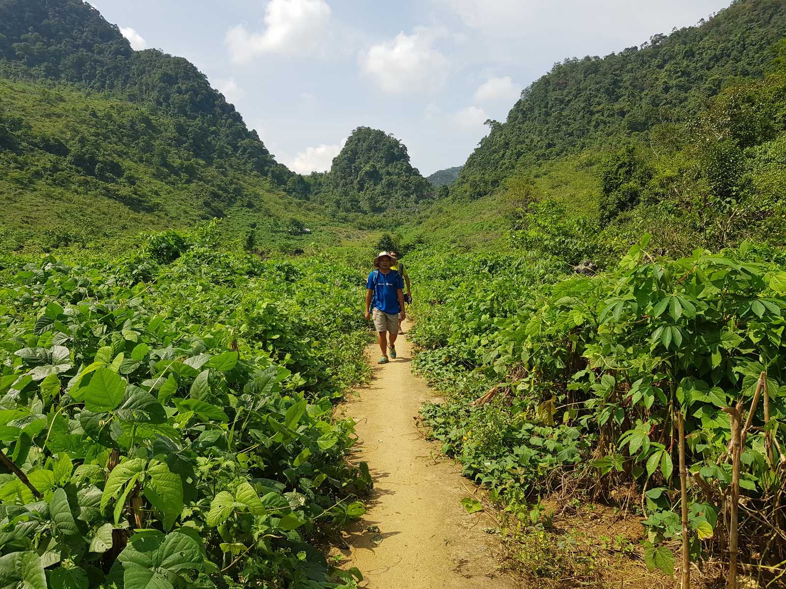 Randonnée dans la région de Thong Nong au Vietnam