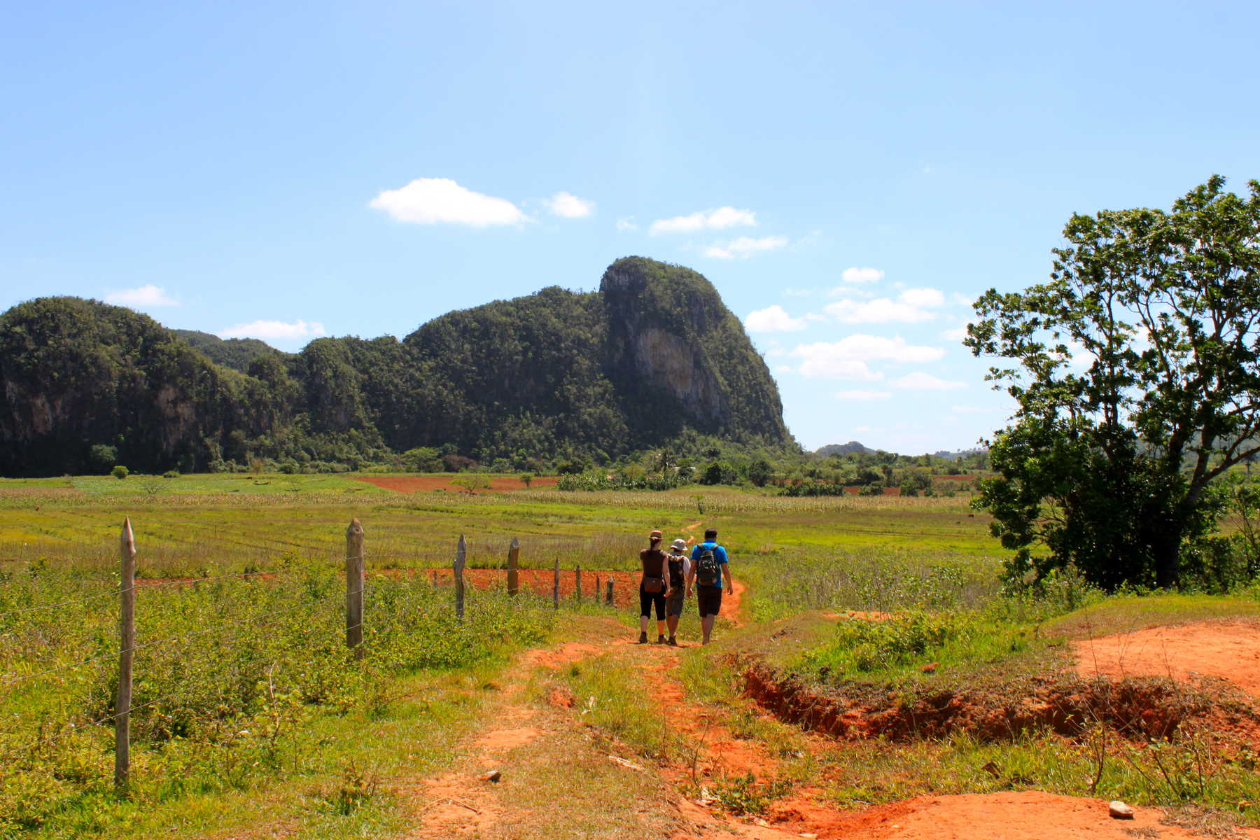 Randonnée dans la Vallée de Vinales