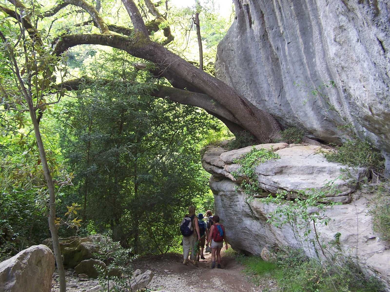 Randonnée dans le vallon de l'Aiguebrun, Luberon © Randonnée dans le vallon de l'Aiguebrun, Luberon
