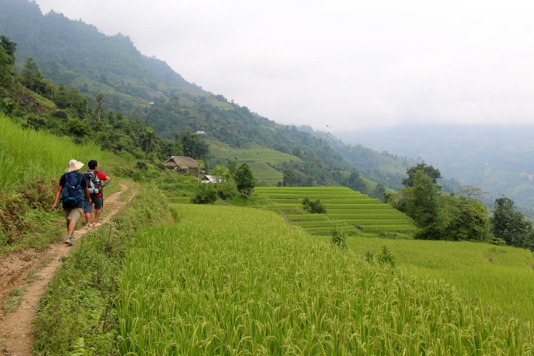Randonnée dans les rizières de Ha Giang