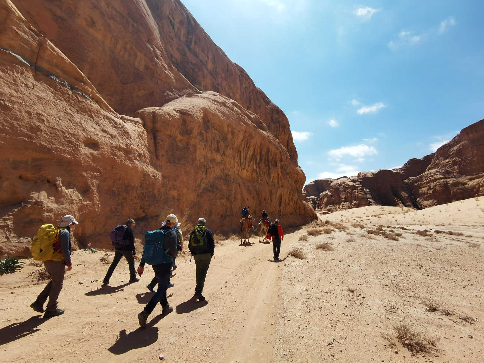 Randonnée en petit groupe dans le Wadi Rum, Jordanie