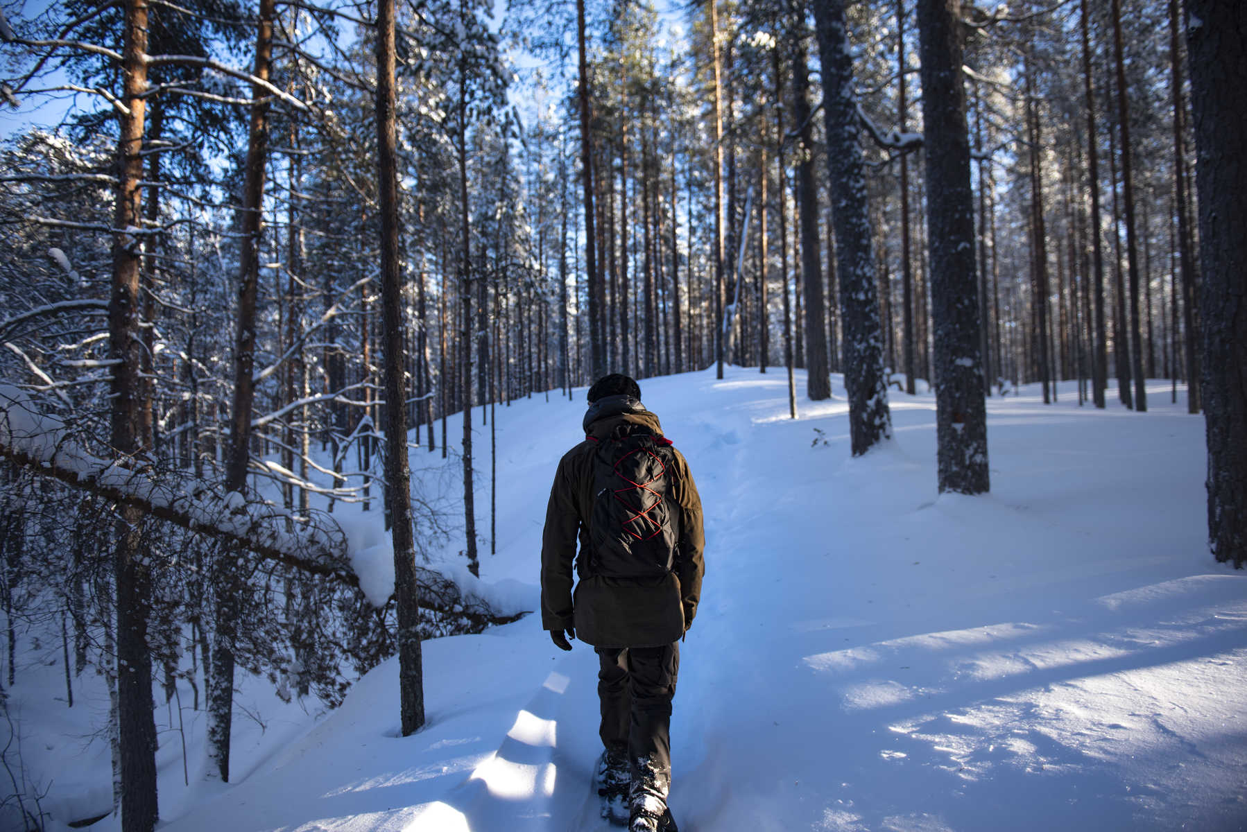 Randonnée raquette dans la forêt finlandaise