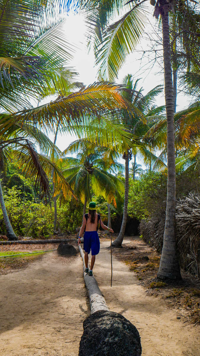 Randonneur dans une forêt tropicale dans le parc national de Tayrona en Colombie