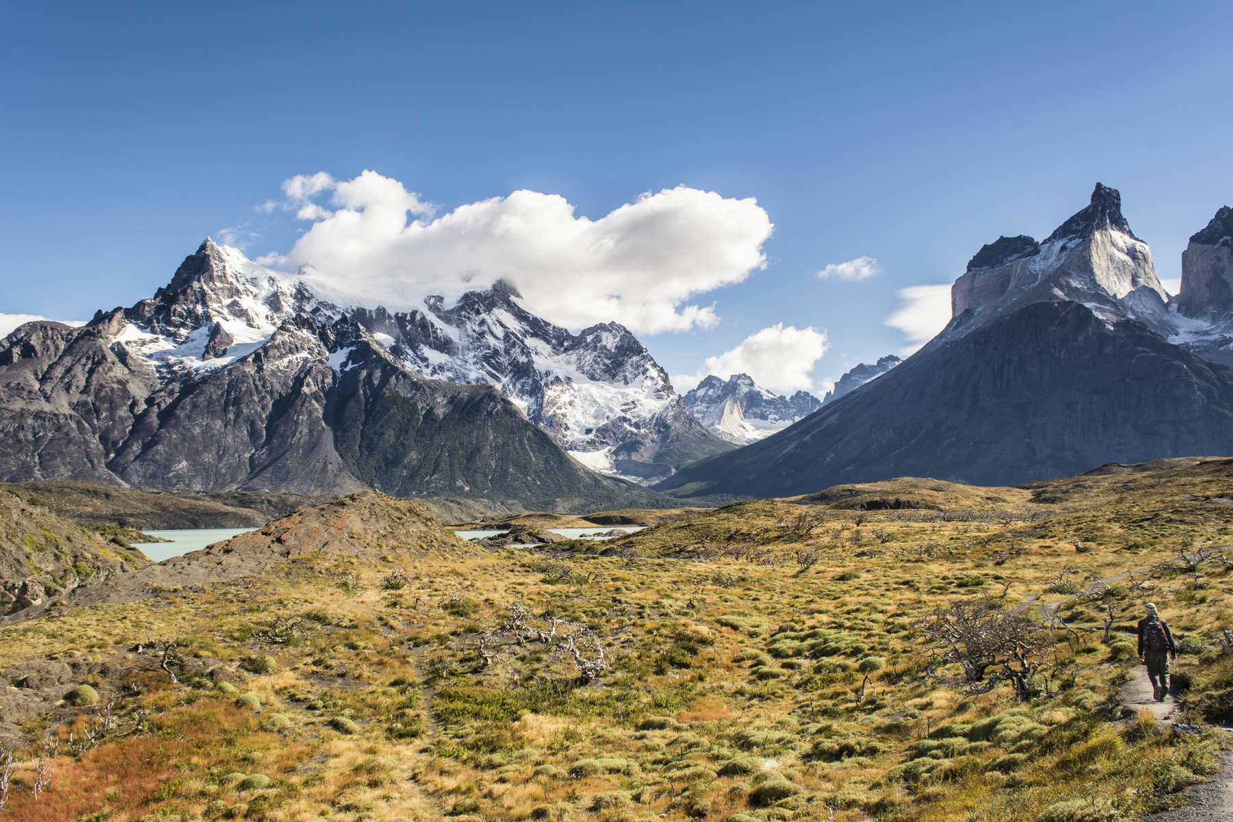 Randonneur en Patagonie chilienne