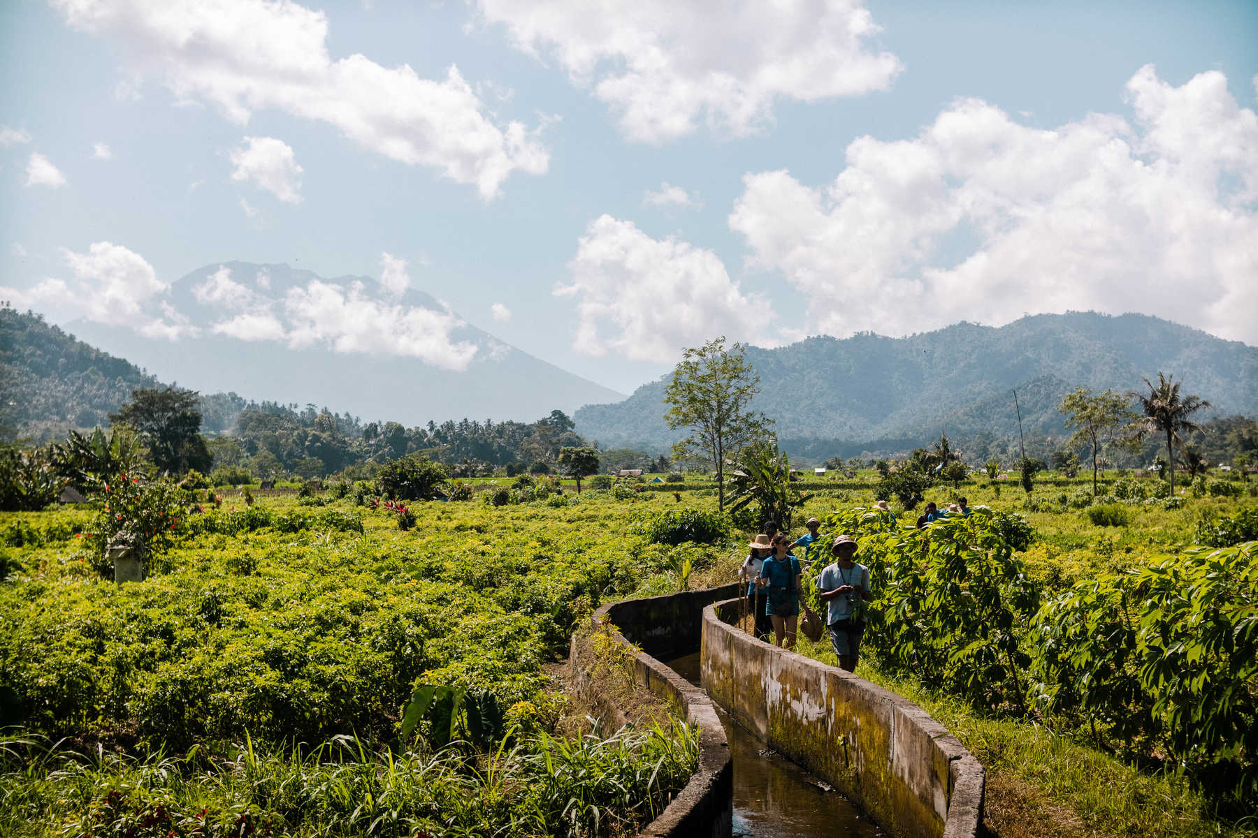 Randonneurs avec leur guide pendant une randonnée en Indonésie