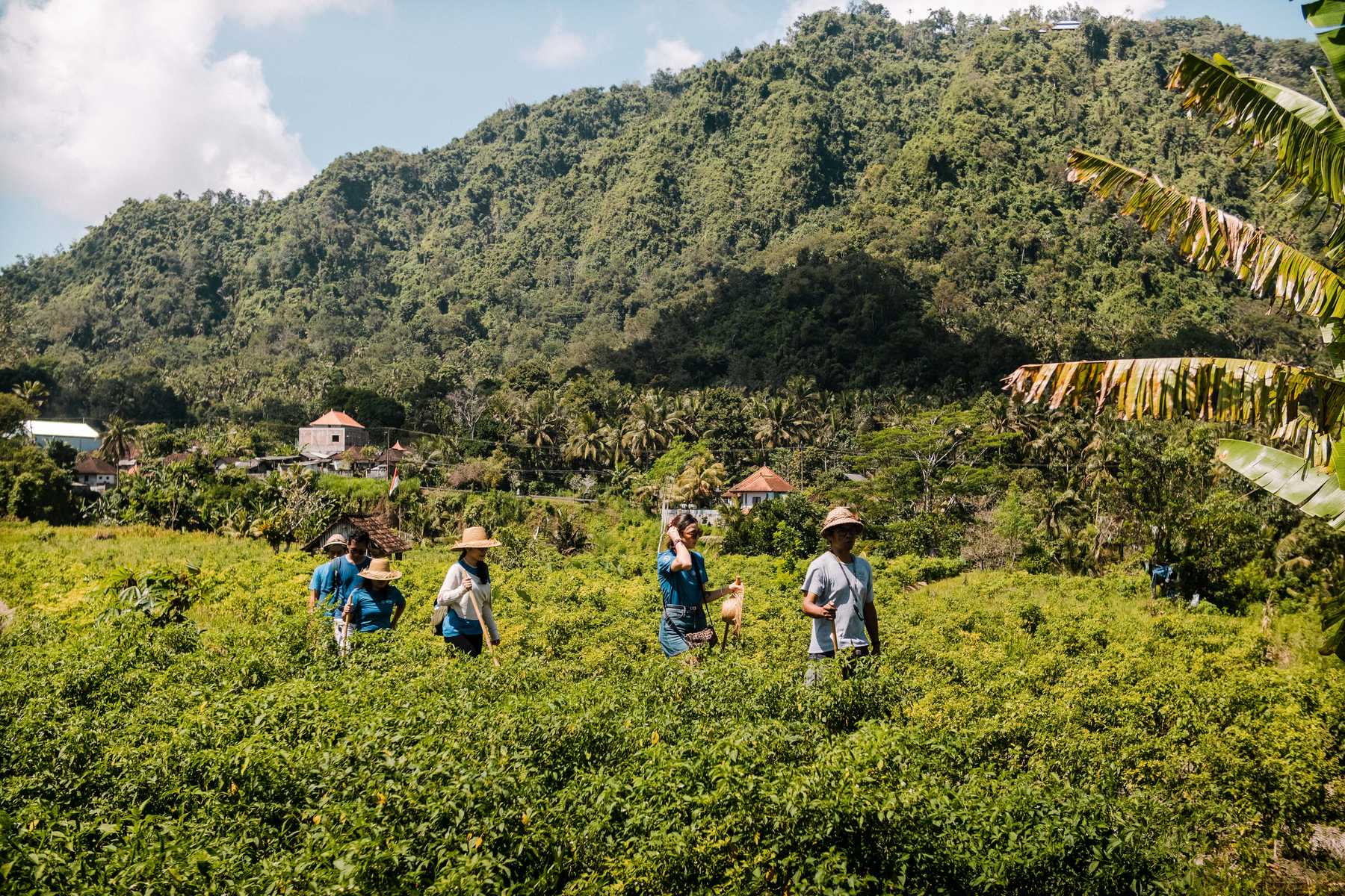 Randonneurs avec leur guide pendant une randonnée en Indonésie