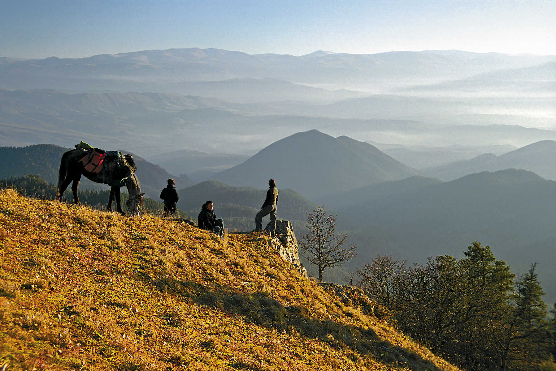 randonneurs avec un cheval qui admirent la vue en randonnée