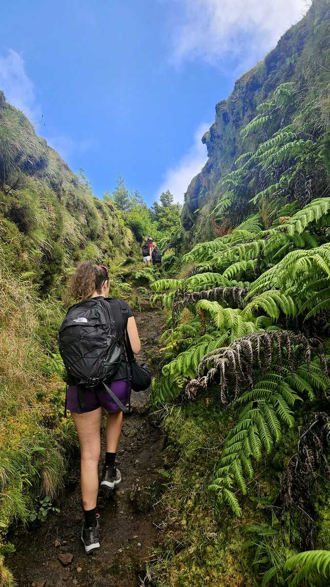 Randonneuse durant la randonnée des lacs Empedadas et Eguas sur l'ile de Sao Miguel aux Acores