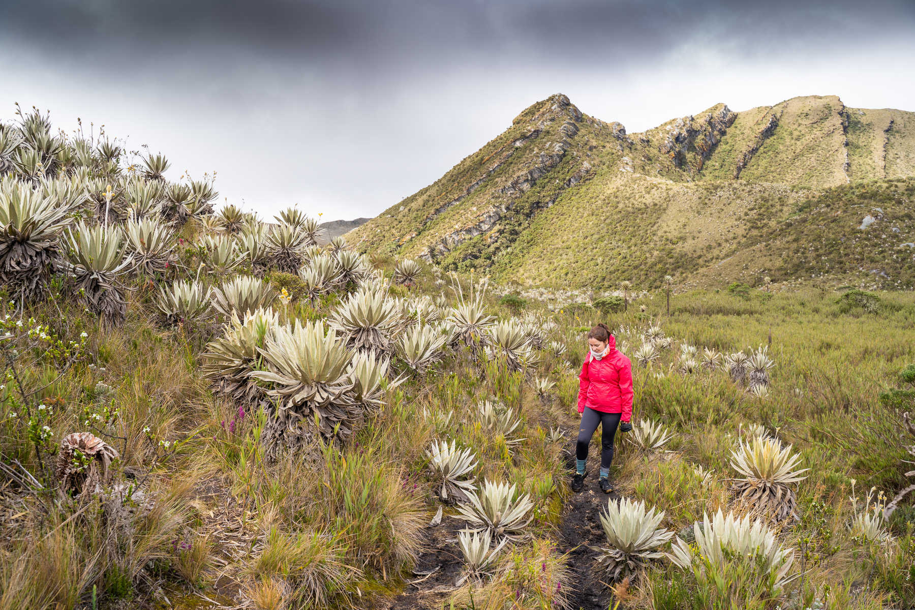 Randonneuse pendant une randonnée aux Lagunas de Siecha, Páramo de Chingaza, Colombie