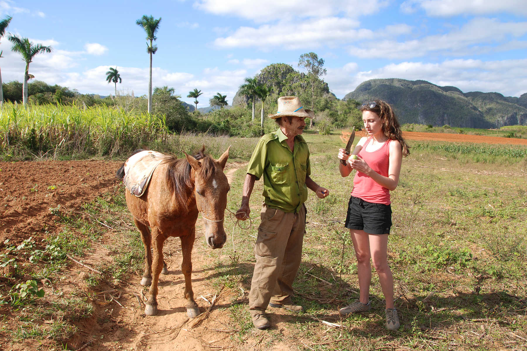 Rencontre avec un paysan cubain dans la vallée de Vinales