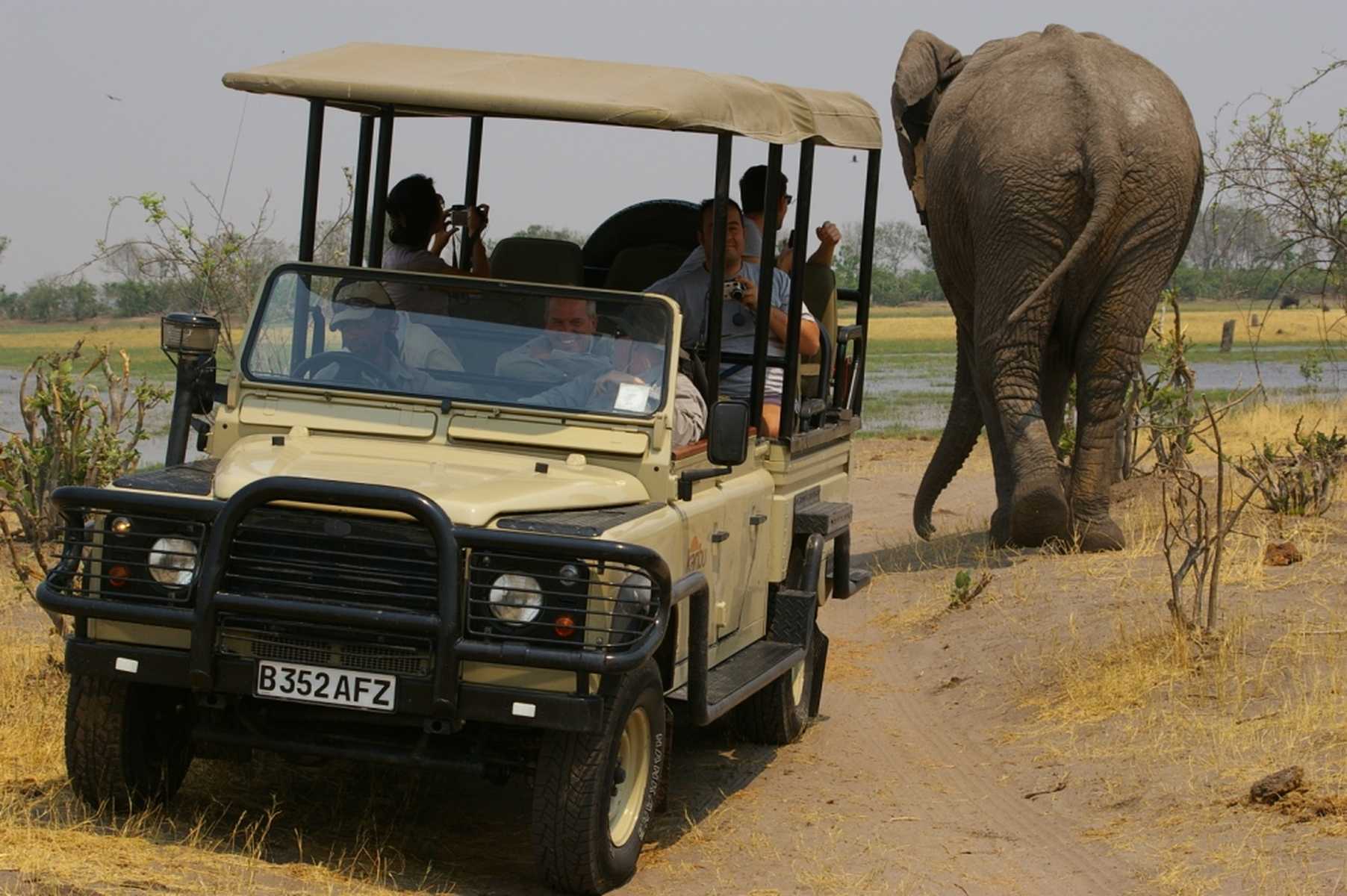 Safari en 4x4 dans le parc national de Moremi